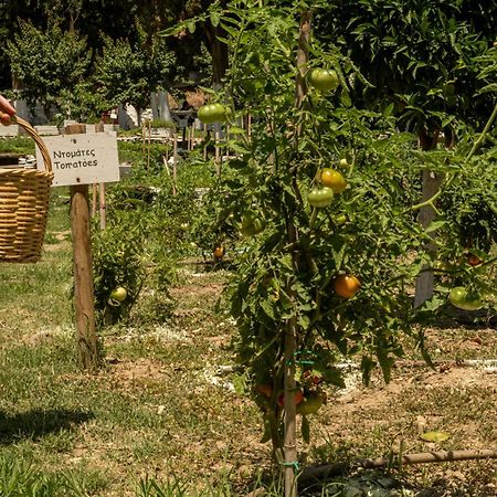 Votsalo Seaside Βίλα Piso Gialia Εξωτερικό φωτογραφία
